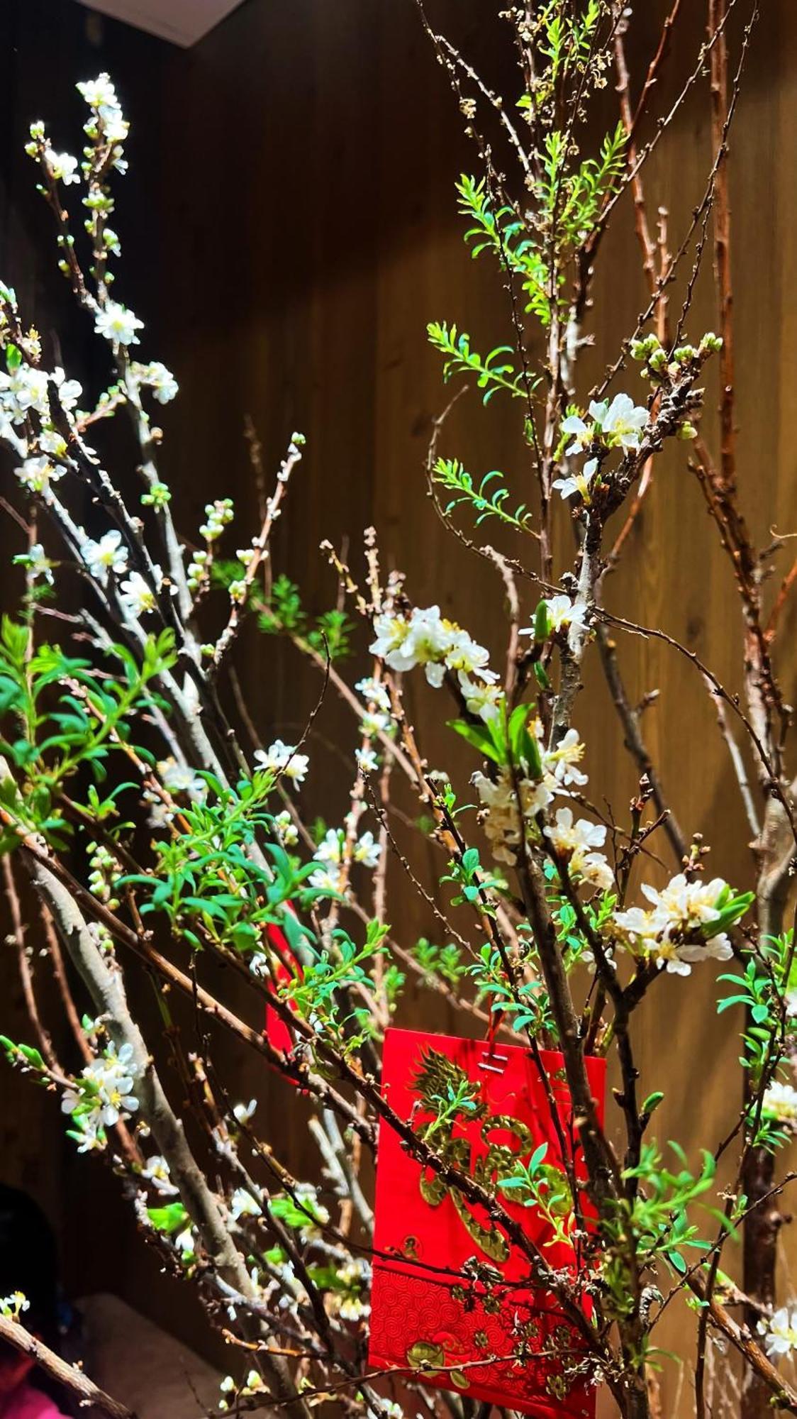 Rosa Zen Hotel Spa Ho Chi Minh-stad Buitenkant foto